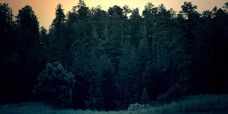 2024娱乐资讯全攻略：从新歌推荐到音乐流媒体，掌握娱乐头条的黄金法则