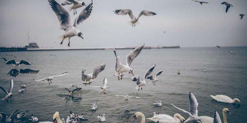 AI编剧来袭：当AIGC闯入影视剧本创作，是娱乐头条的革命还是危机？