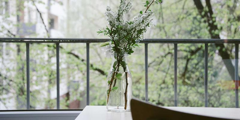 乐坛新风向:新歌推荐与艺人动态全解析 | 娱乐资讯聚焦