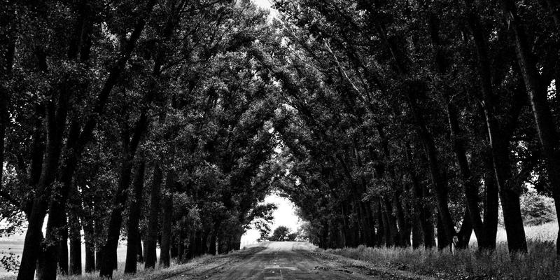 从专辑评论到艺人新闻：数据如何驱动影视剧口碑营销与音乐分享策略