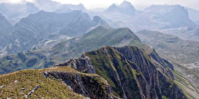 从艺人新闻到专辑评论：娱乐资讯的演变与当代价值