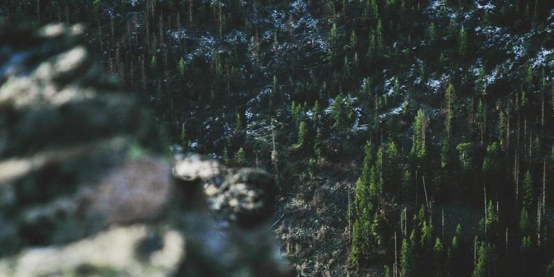 从音乐流媒体到舆论战场：社交媒体时代明星人设的构建与危机公关策略