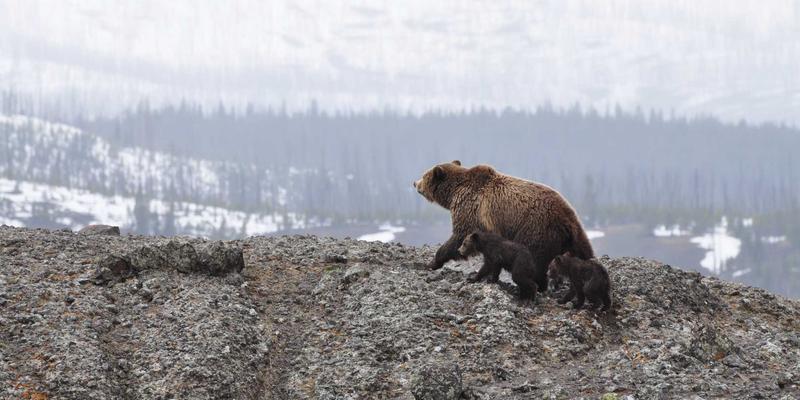 娱乐资讯68 | 音乐流媒体时代，如何打造你的专属音乐分享生态圈？