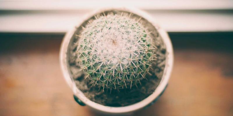 流媒体会员怎么选最省钱？一手价格比较与独家攻略，附赠最新专辑评论与娱乐头条追踪技巧