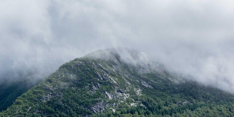 线下沉浸式娱乐体验崛起：从剧本杀、演艺小镇到IP主题展的全新娱乐生态