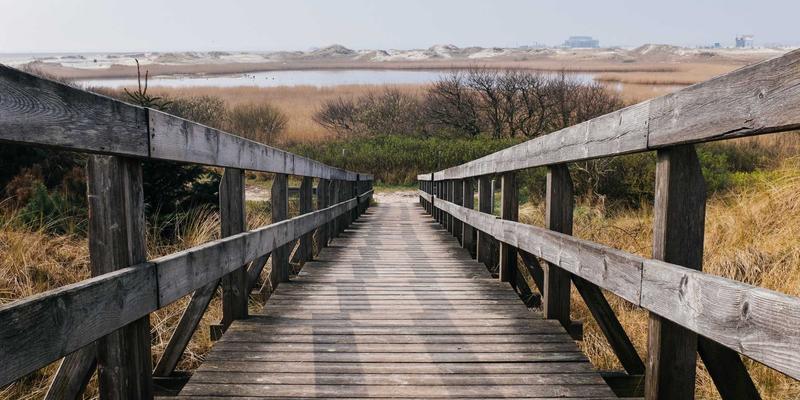 虚拟演唱会技术演进：从VR沉浸到元宇宙社交的体验升级 | 娱乐头条与艺人新闻聚焦