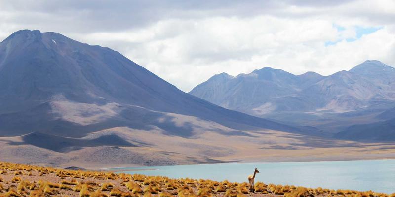 音乐分享与娱乐资讯的真相危机：社交媒体时代突发新闻的核实困境与伦理边界