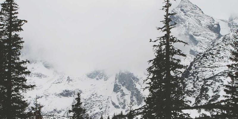 音乐流媒体时代：MCN机构如何打造专辑评论与艺人新闻的垂直达人矩阵